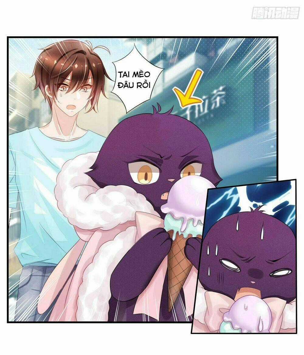 Làm Mèo Của Ta - Chapter 4 - Trang 23