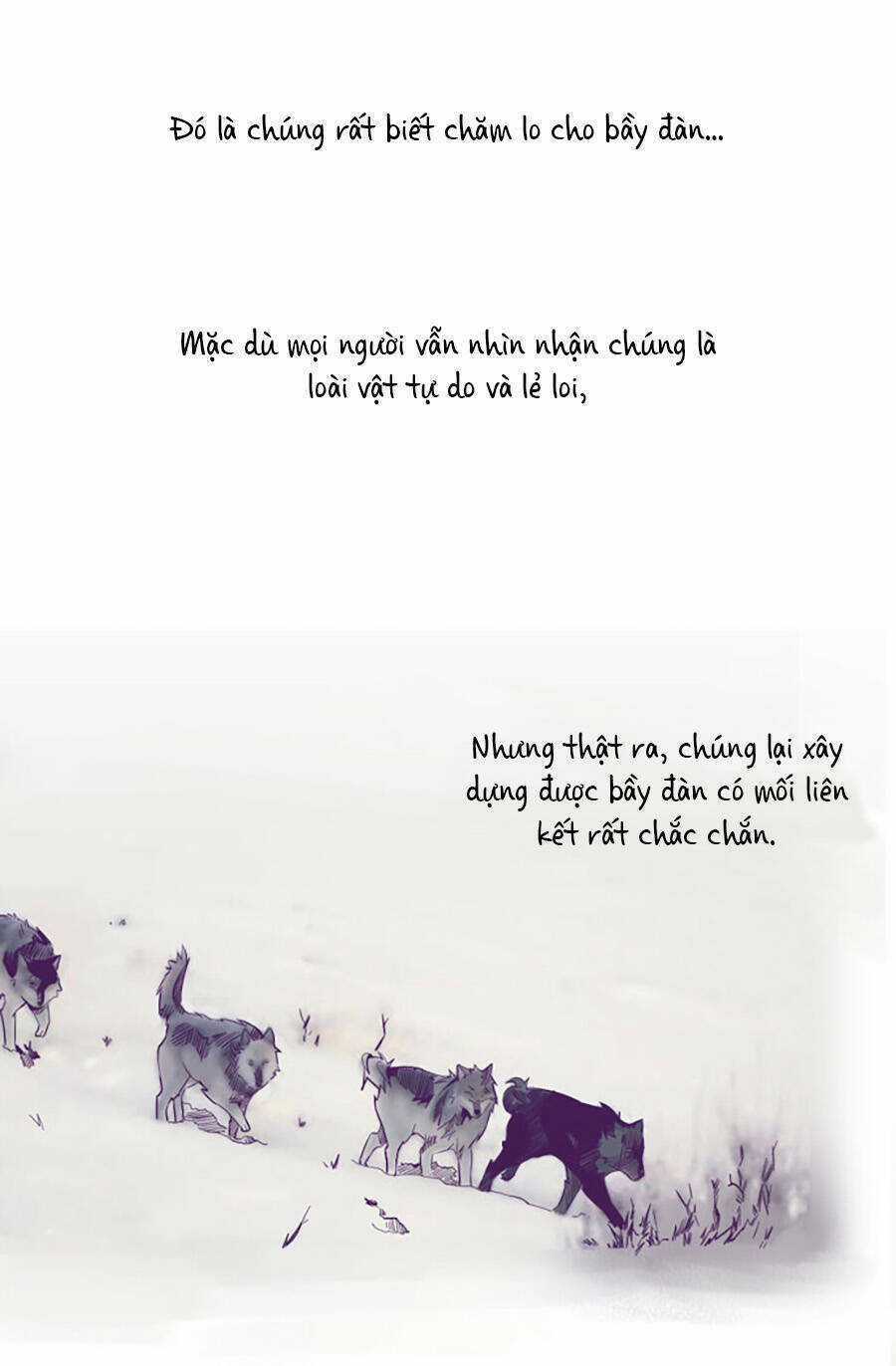 Lang Thành - Chapter 11 - Trang 25