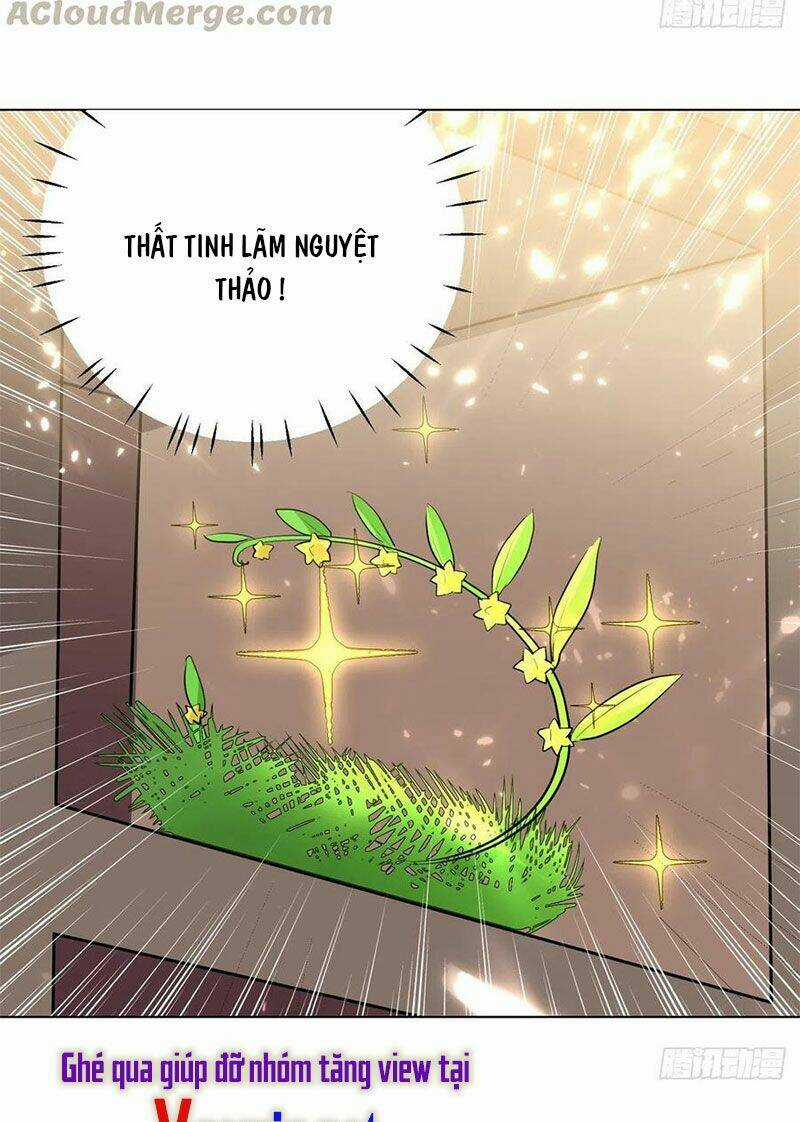 Lăng Thiên Thần Đế - Chapter 167 - Trang 15