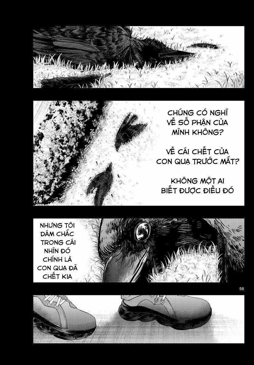 Last Karte - Chapter 1 - Trang 50