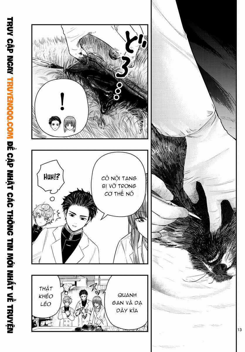 Last Karte - Chapter 2 - Trang 14