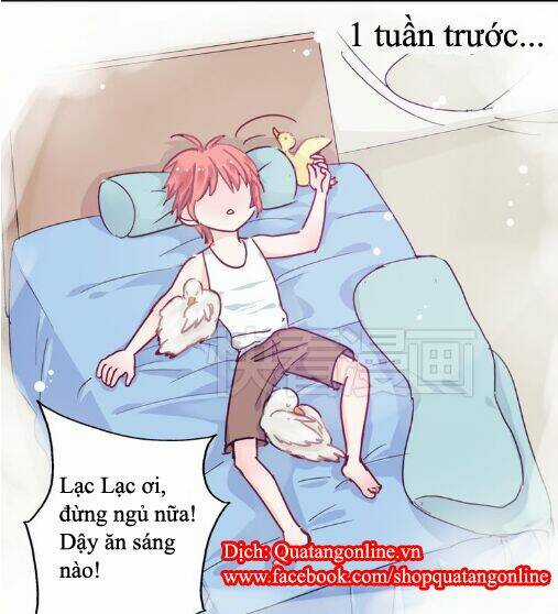 Lều Khều Biết Yêu - Chapter 11 - Trang 3