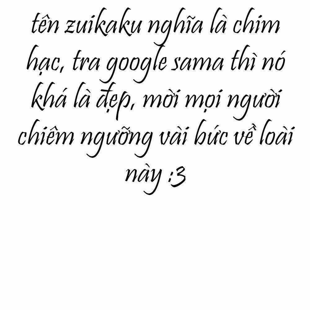 Level 1 Zuikaku - Chapter 1 - Trang 6