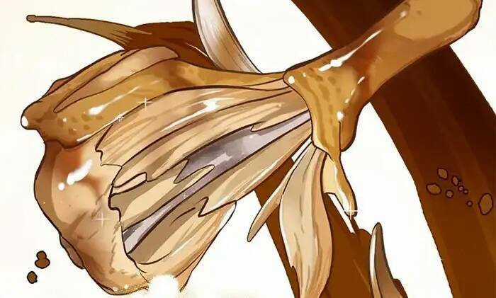 Level Up Chỉ Bằng Cách Ăn Cơm - Chapter 101 - Trang 51