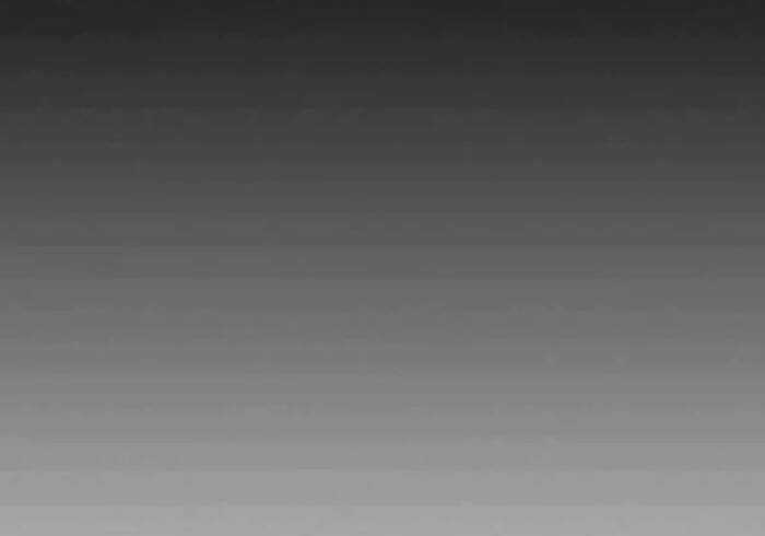 Level Up Chỉ Bằng Cách Ăn Cơm - Chapter 102.5 - Trang 35