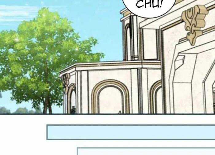 Level Up Chỉ Bằng Cách Ăn Cơm - Chapter 102 - Trang 79