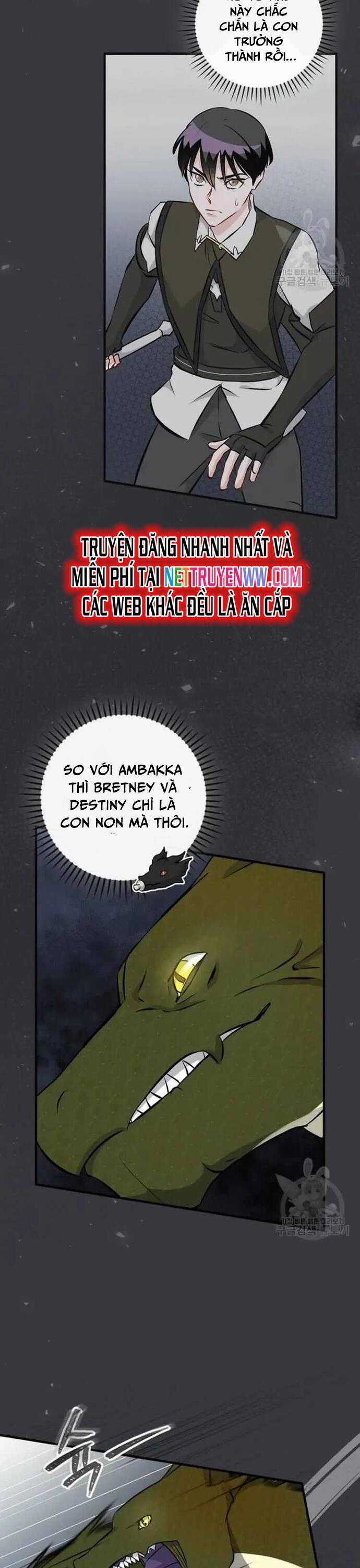 Level Up Chỉ Bằng Cách Ăn Cơm - Chapter 124 - Trang 4