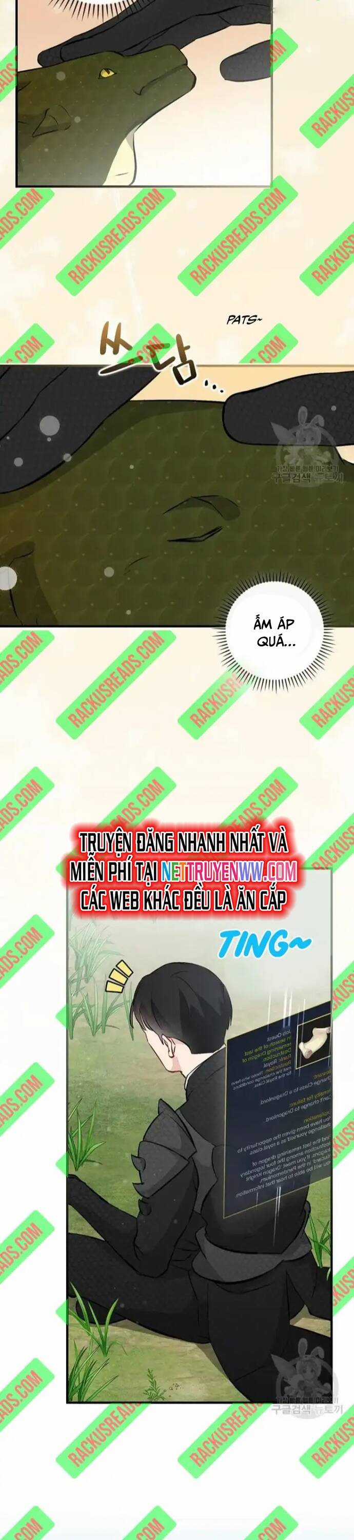 Level Up Chỉ Bằng Cách Ăn Cơm - Chapter 127 - Trang 28