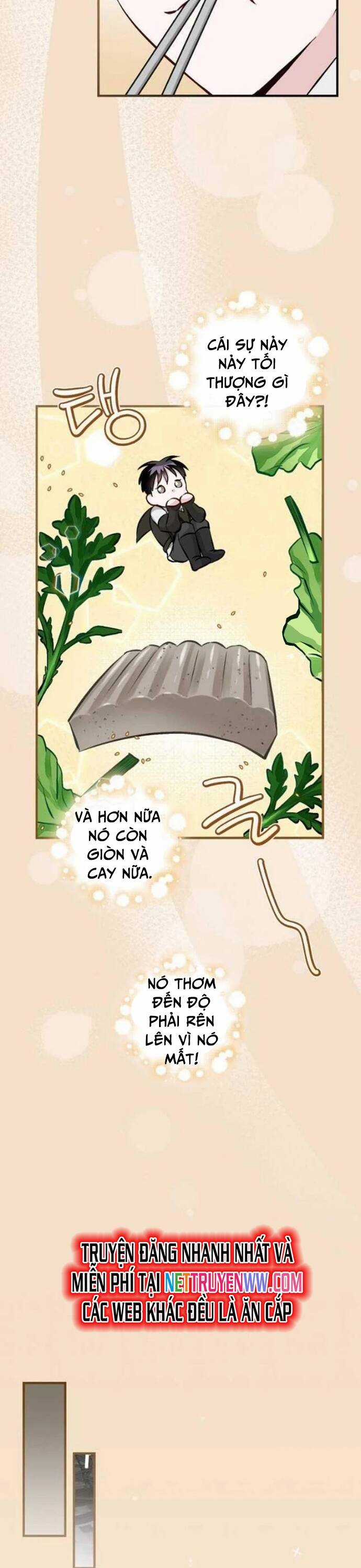 Level Up Chỉ Bằng Cách Ăn Cơm - Chapter 128 - Trang 8