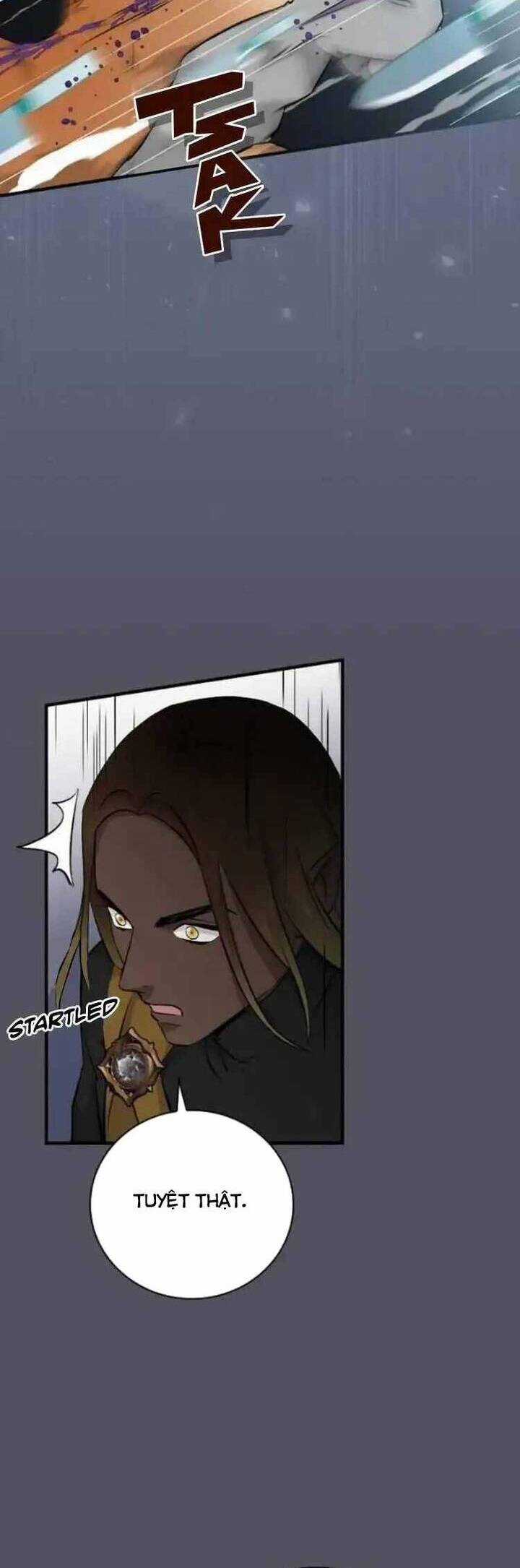 Level Up Chỉ Bằng Cách Ăn Cơm - Chapter 133 - Trang 13