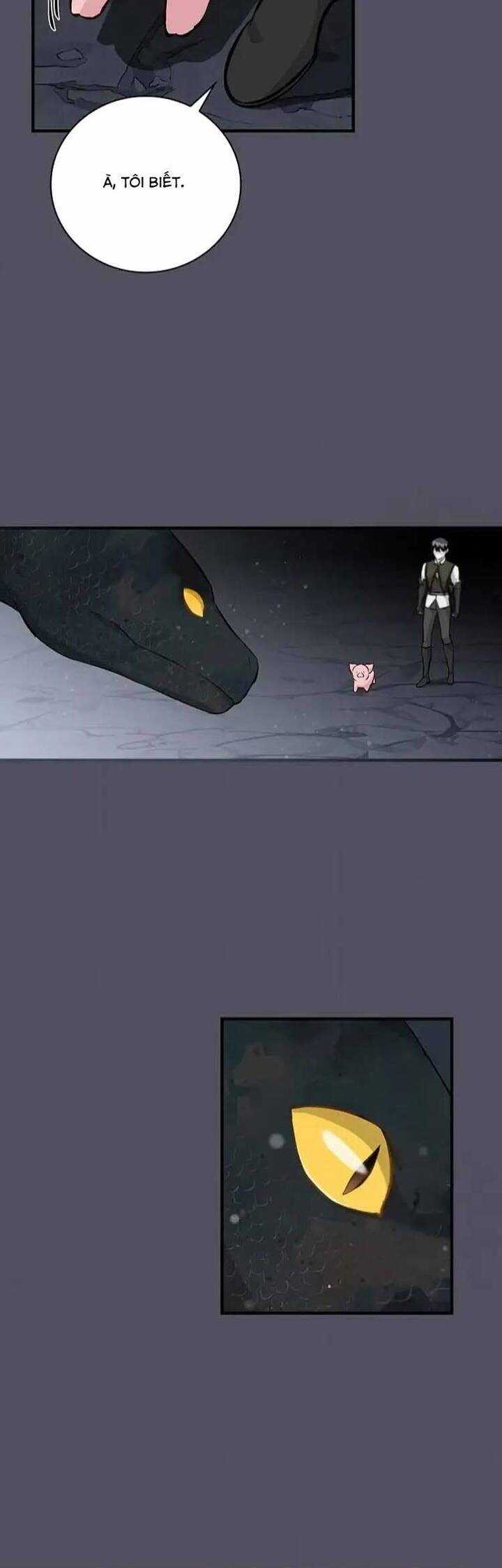 Level Up Chỉ Bằng Cách Ăn Cơm - Chapter 135 - Trang 25