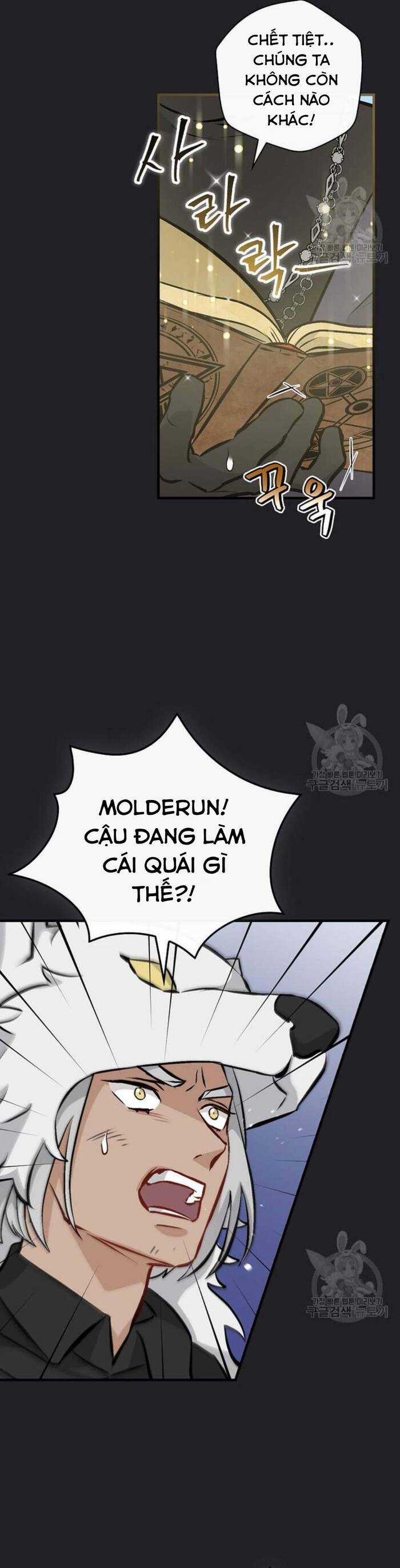 Level Up Chỉ Bằng Cách Ăn Cơm - Chapter 137 - Trang 24