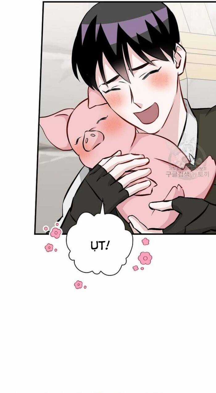 Level Up Chỉ Bằng Cách Ăn Cơm - Chapter 138 - Trang 12