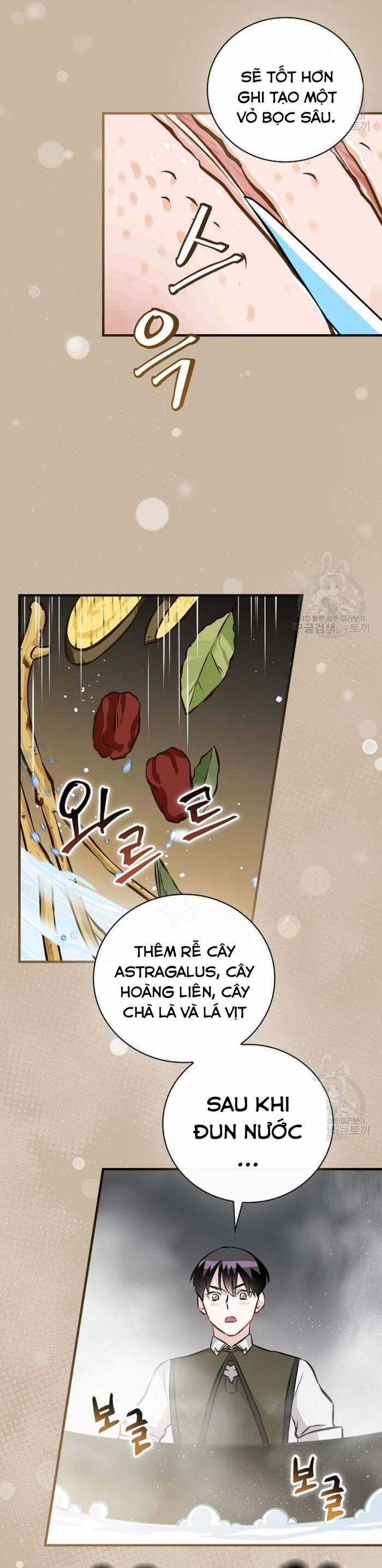 Level Up Chỉ Bằng Cách Ăn Cơm - Chapter 140 - Trang 12