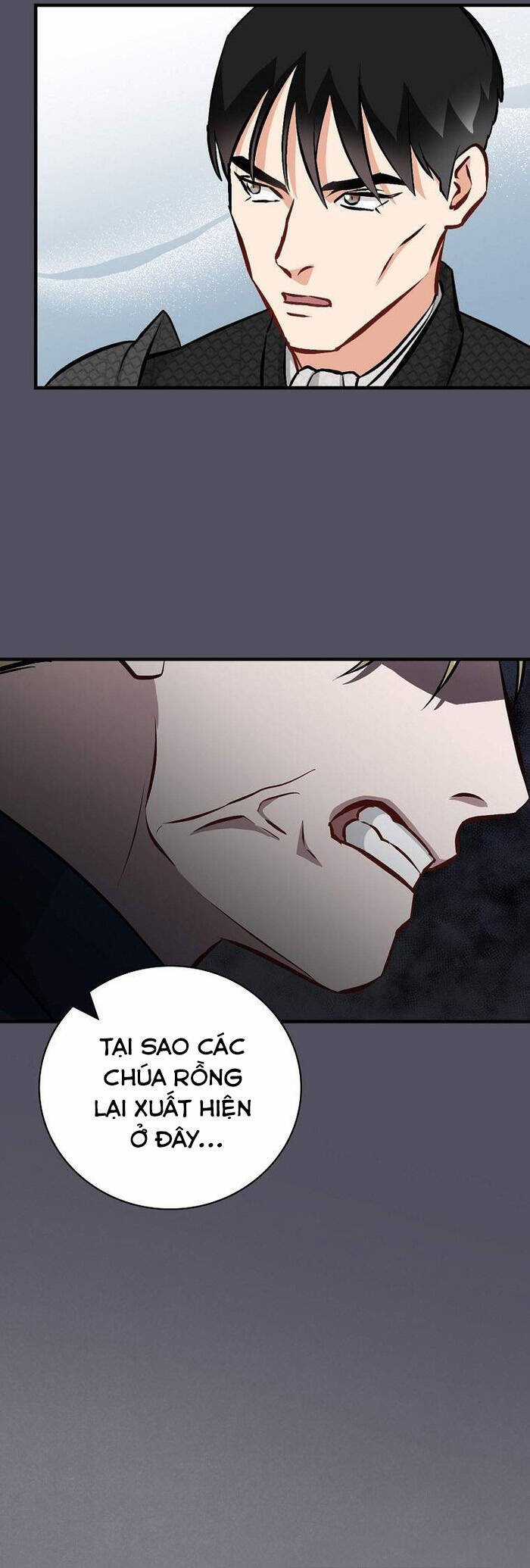 Level Up Chỉ Bằng Cách Ăn Cơm - Chapter 142 - Trang 3