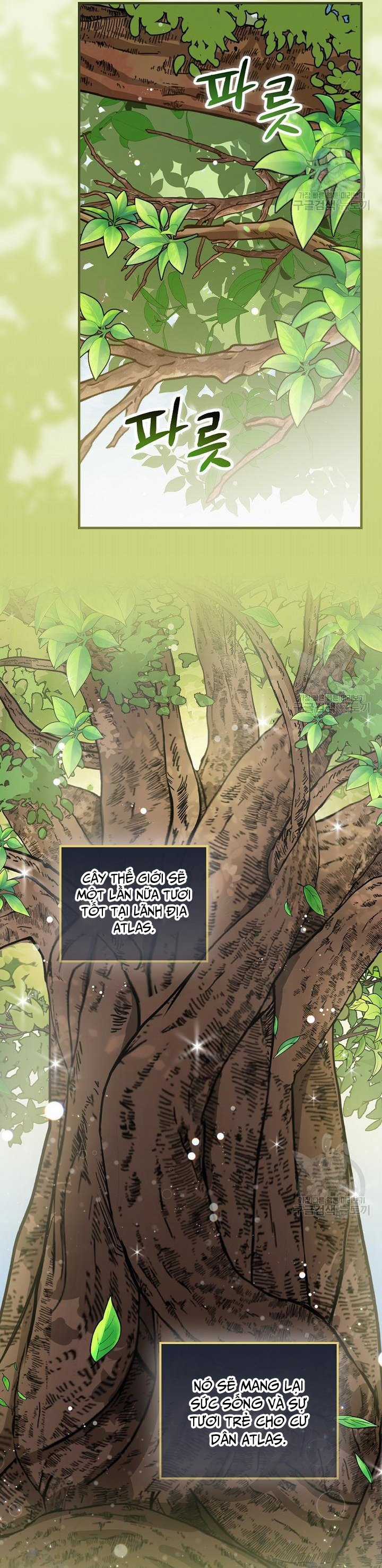 Level Up Chỉ Bằng Cách Ăn Cơm - Chapter 157 - Trang 26