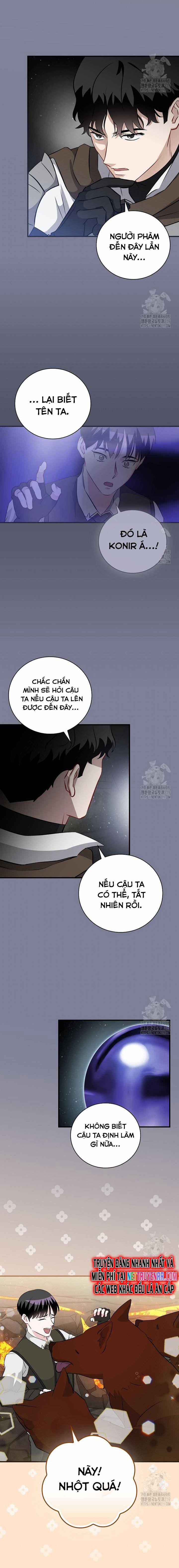 Level Up Chỉ Bằng Cách Ăn Cơm - Chapter 166 - Trang 12