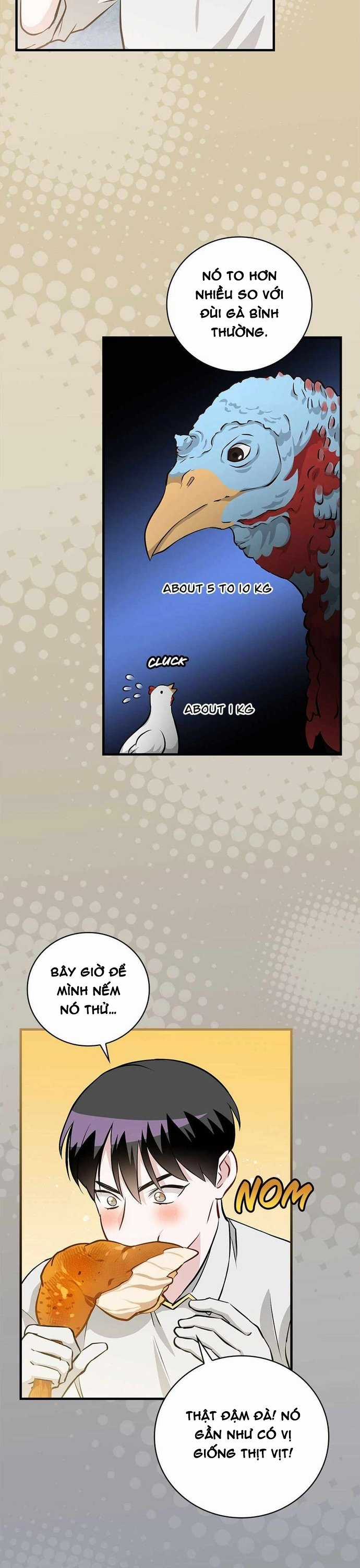 Level Up Chỉ Bằng Cách Ăn Cơm - Chapter 168 - Trang 30