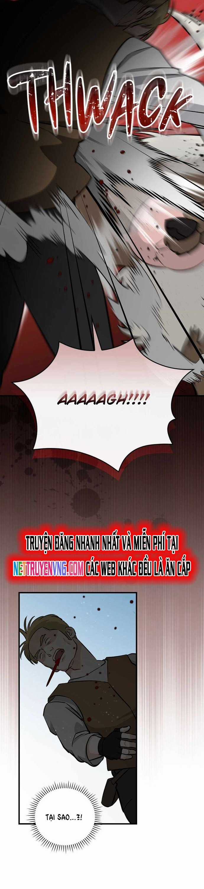 Level Up Chỉ Bằng Cách Ăn Cơm - Chapter 174 - Trang 11