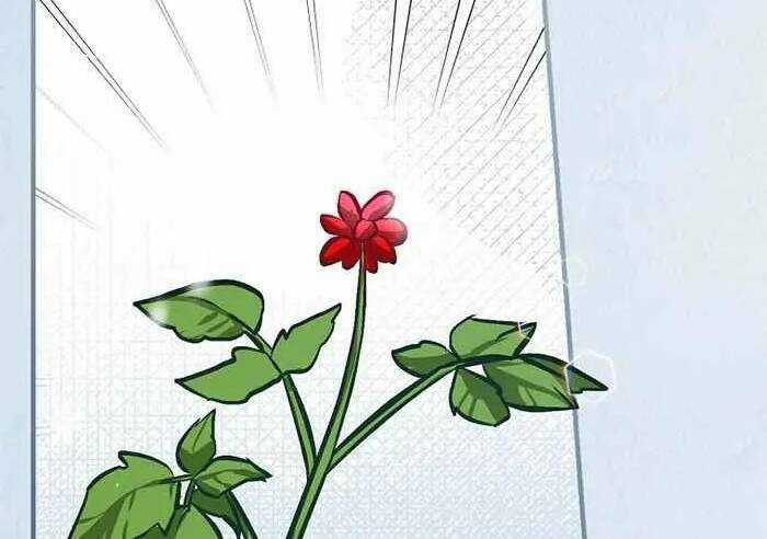 Level Up Chỉ Bằng Cách Ăn Cơm - Chapter 97 - Trang 74