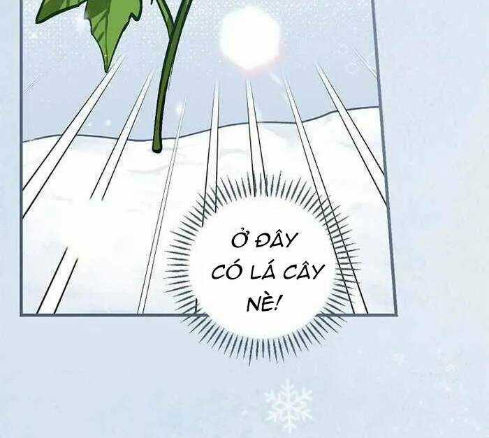 Level Up Chỉ Bằng Cách Ăn Cơm - Chapter 97 - Trang 75