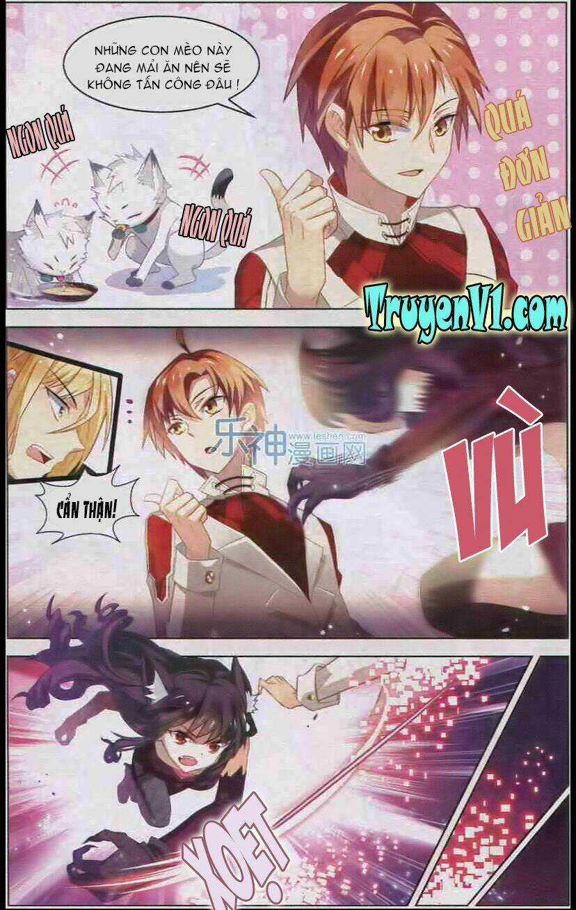 Level Up - Hạch Lực Đột Phá - Chapter 39 - Trang 13