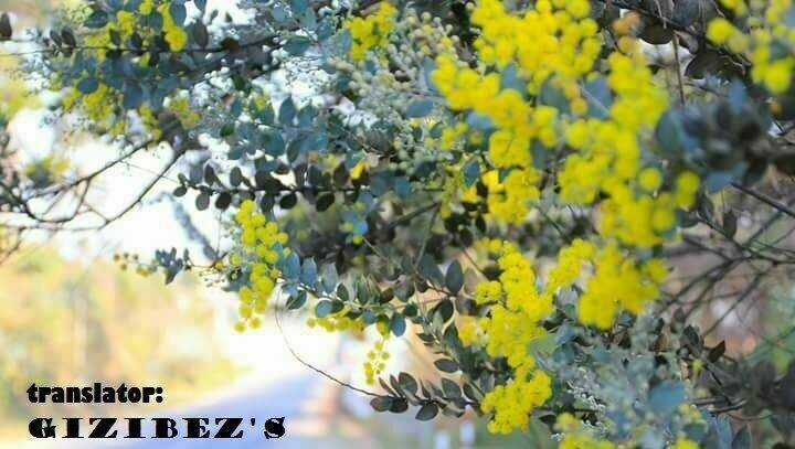 Liar Lily - Chapter 39 - Trang 2