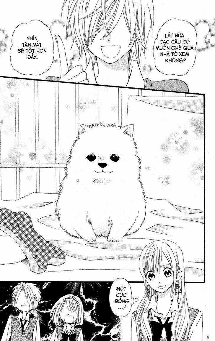 Liar Lily - Chapter 50 - Trang 11