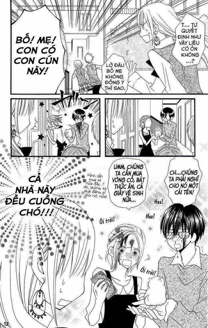 Liar Lily - Chapter 50 - Trang 14