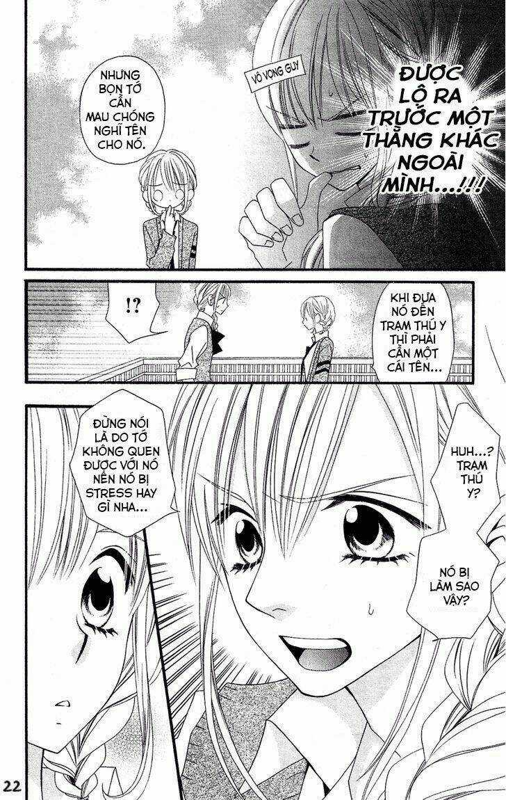 Liar Lily - Chapter 50 - Trang 24