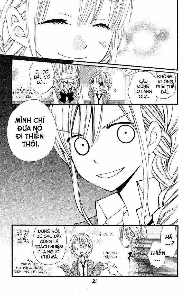 Liar Lily - Chapter 50 - Trang 25