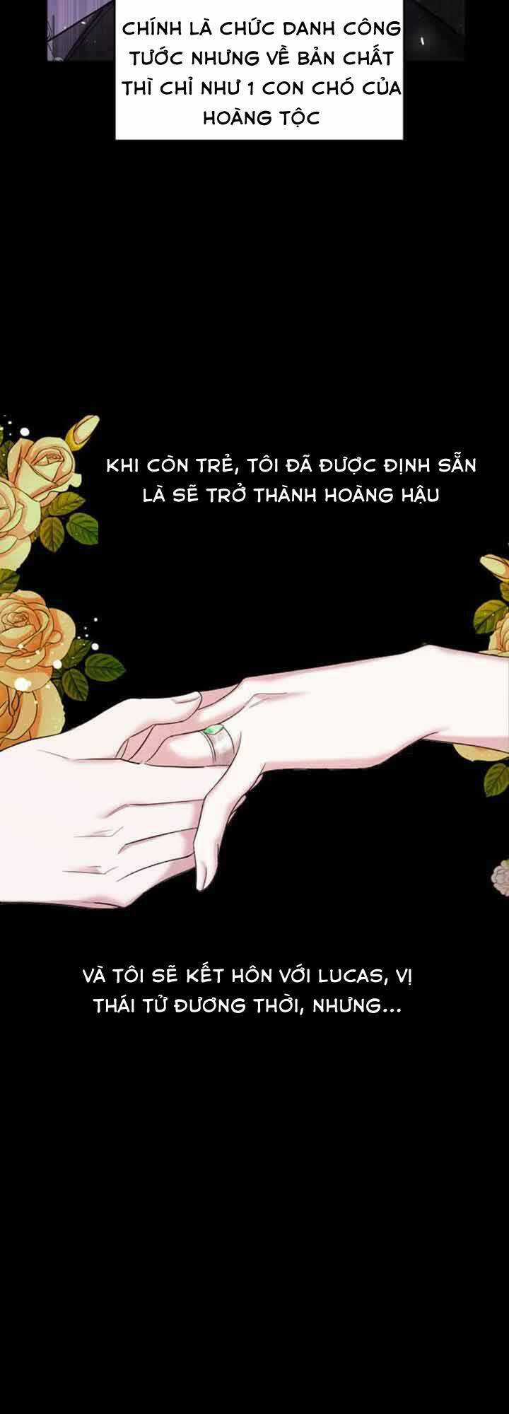 Liên Hôn Phục Thù - Chapter 1 - Trang 28