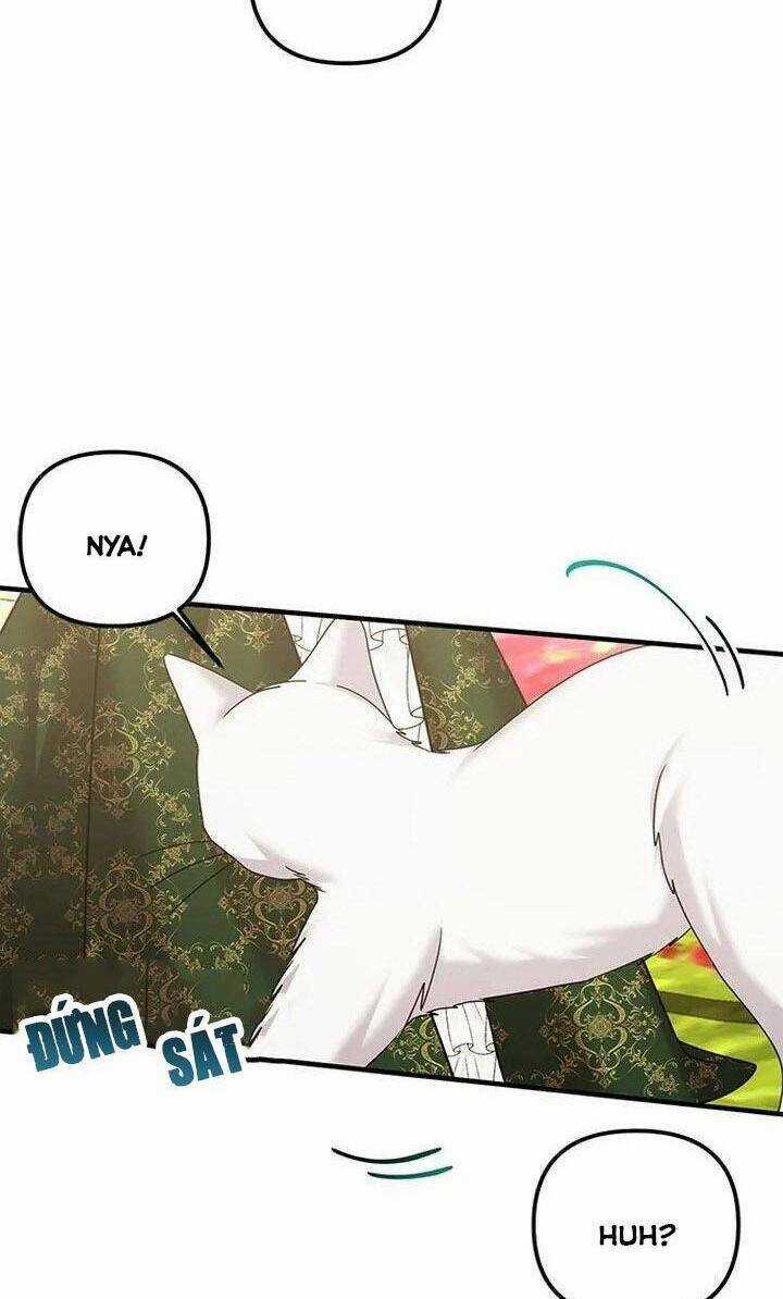 Liên Hôn Phục Thù - Chapter 13 - Trang 54