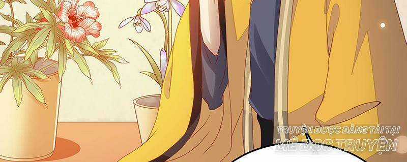 Liêu Cung Phong Hoa - Chapter 9 - Trang 66