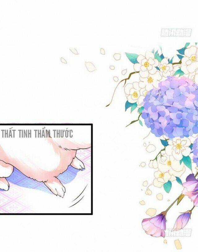 Liêu Liêu Trai - Chapter 13 - Trang 13