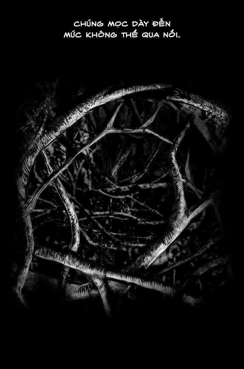 Liệu Pháp Của Melvina - Chapter 21 - Trang 20