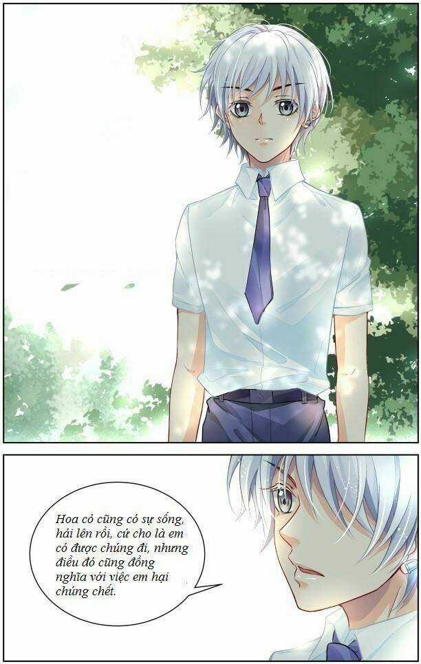 Linh Khiết - Chapter 288 - Trang 10