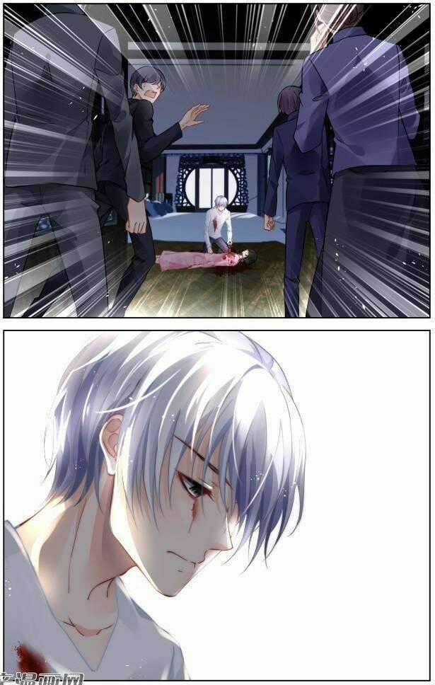 Linh Khiết - Chapter 293 - Trang 8