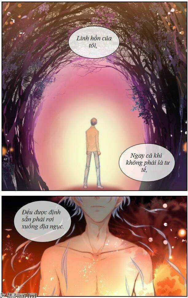 Linh Khiết - Chapter 294 - Trang 11