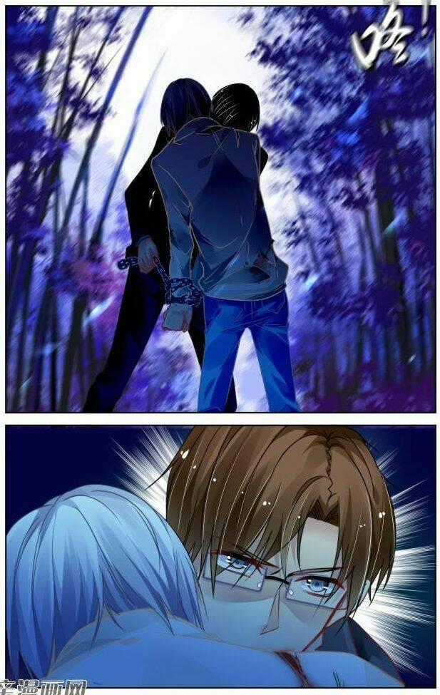 Linh Khiết - Chapter 294 - Trang 13