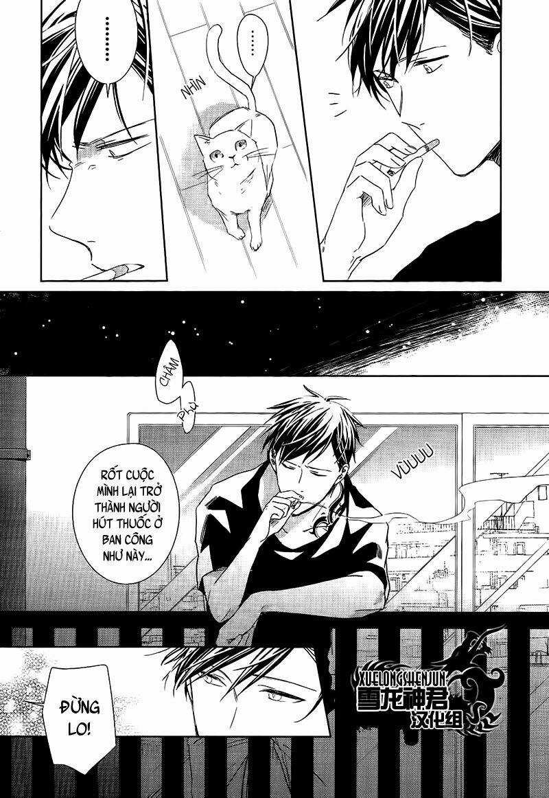 Links - Chapter 3 - Trang 19