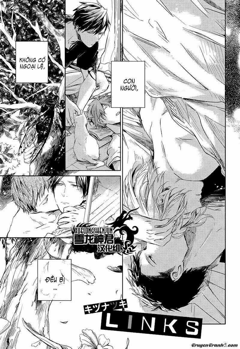 Links - Chapter 6.1 - Trang 2