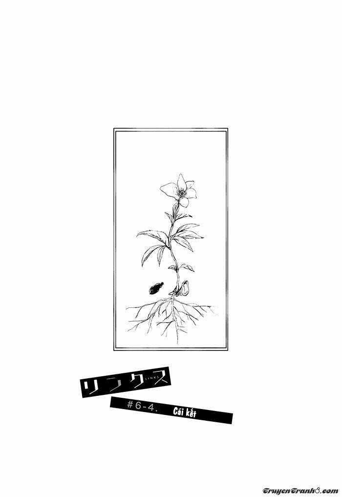 Links - Chapter 6.4 - Trang 2