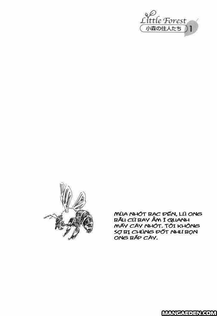 Little Forest - Chapter 1 - Trang 13