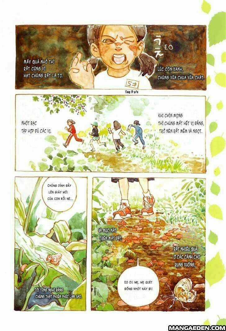Little Forest - Chapter 1 - Trang 5