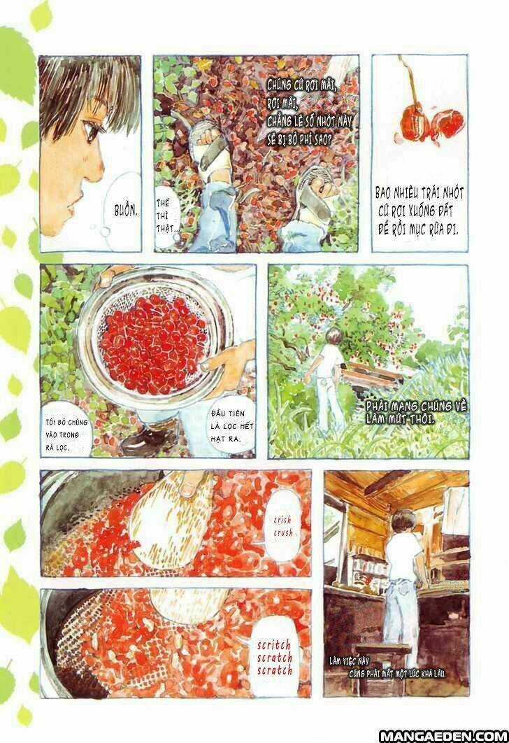 Little Forest - Chapter 1 - Trang 8