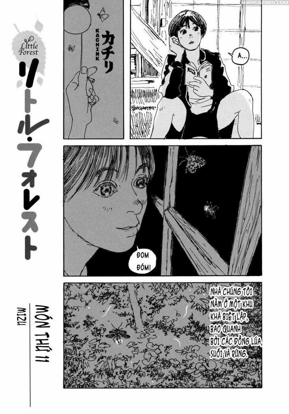 Little Forest - Chapter 11 - Trang 1