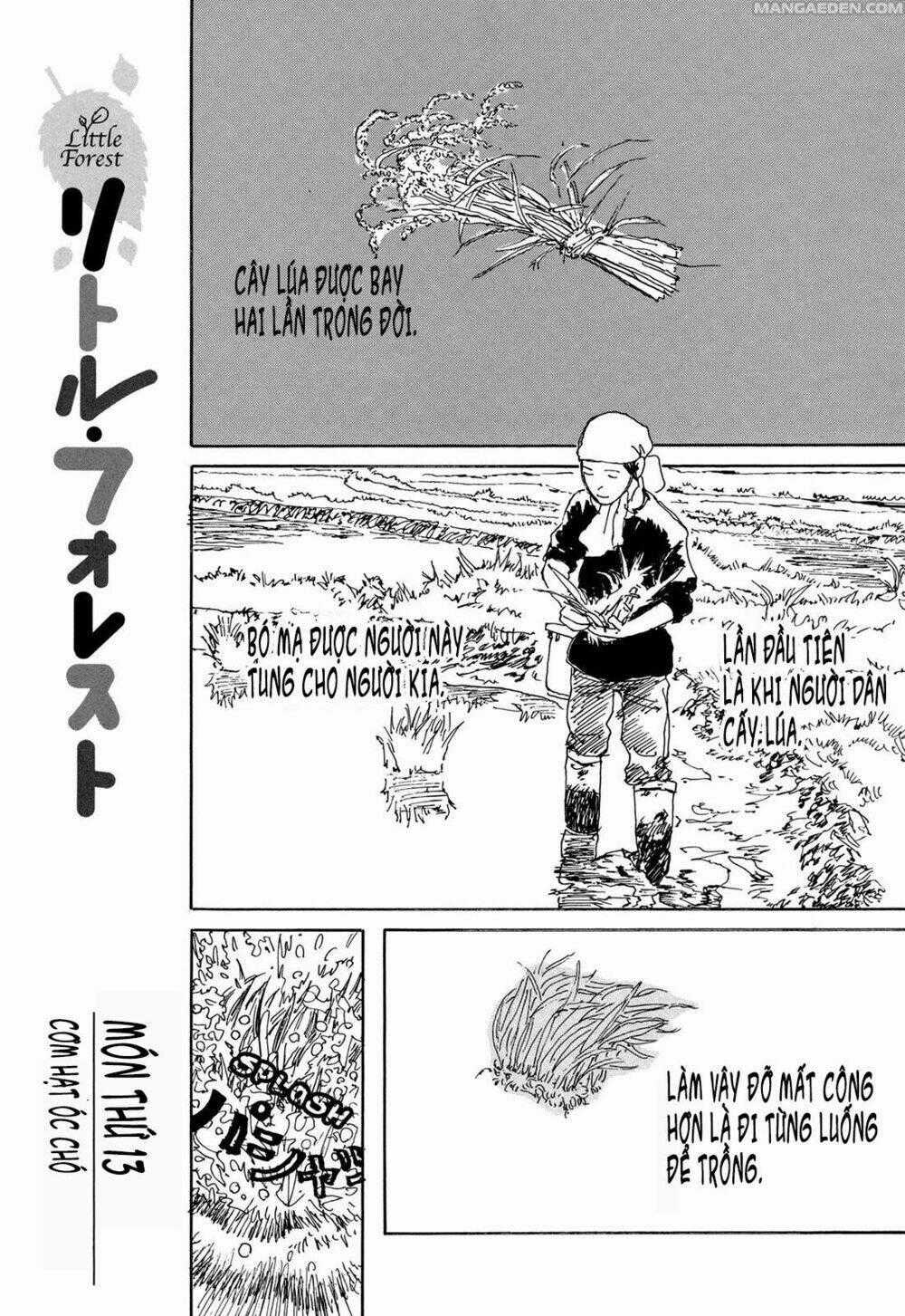 Little Forest - Chapter 13 - Trang 1