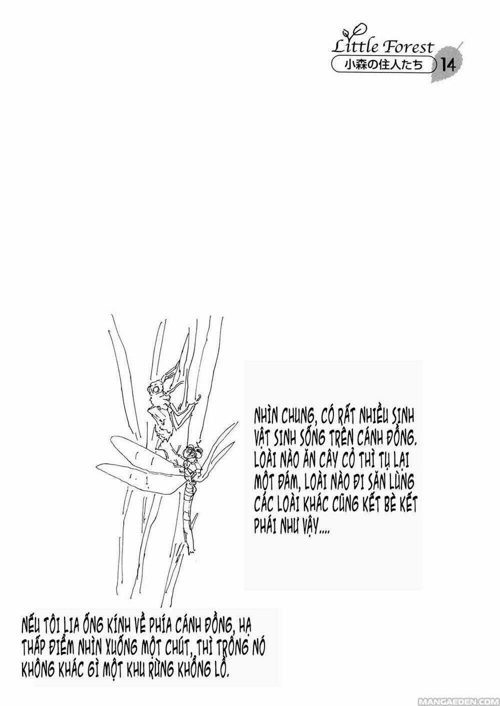 Little Forest - Chapter 14 - Trang 10