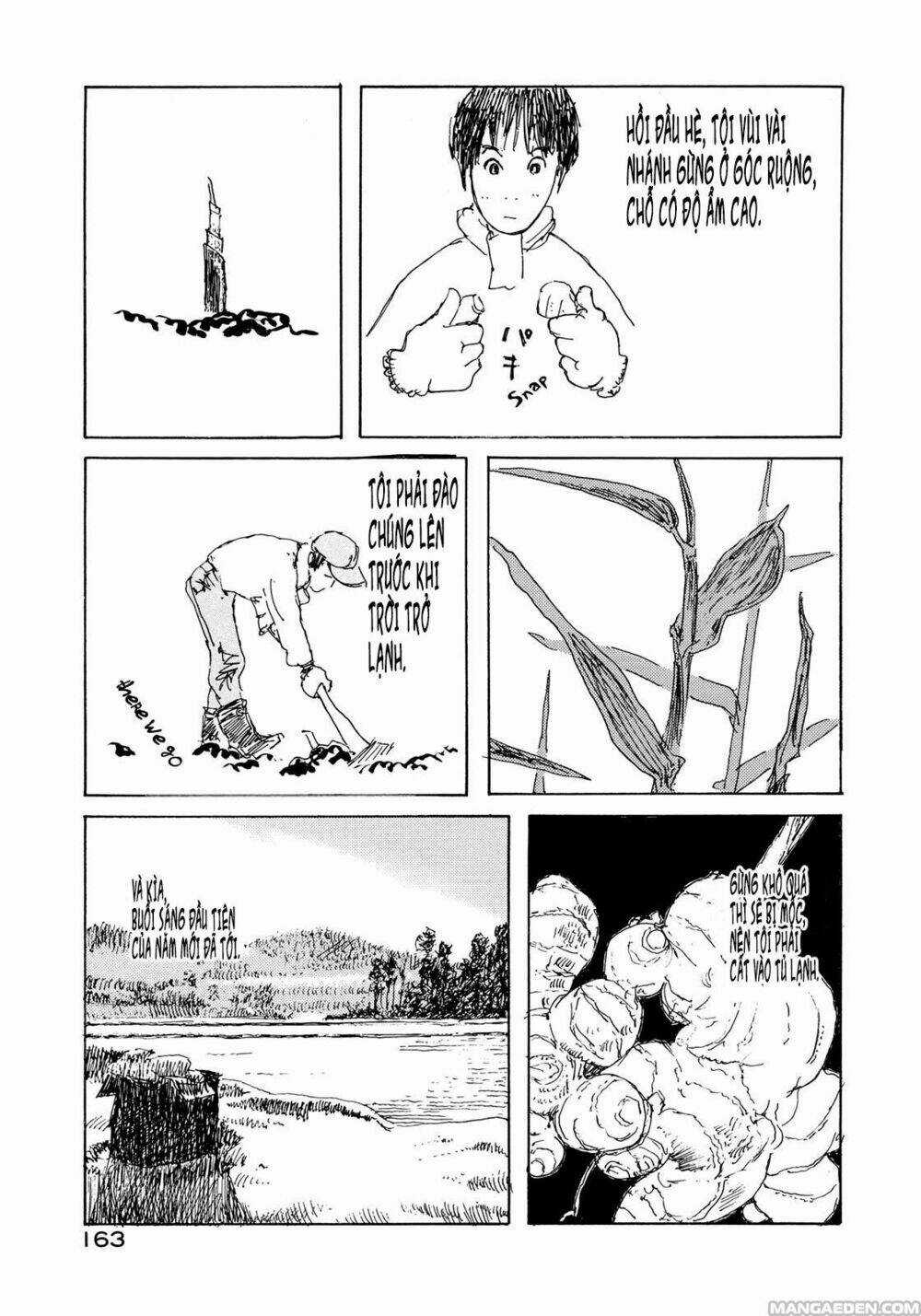 Little Forest - Chapter 16 - Trang 5